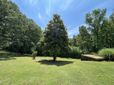 Country Home For Sale In Mcnairy Tn With 3 Acres - image 47