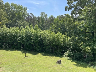 Country Home For Sale In Mcnairy Tn With 3 Acres - image 44