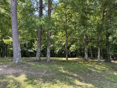 Country Home For Sale In Mcnairy Tn With 3 Acres - image 42