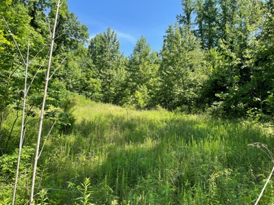 Land With Natural Water For Sale in Linden, Tennessee - image 1