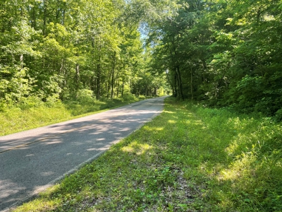 Land With Natural Water For Sale in Linden, Tennessee - image 3