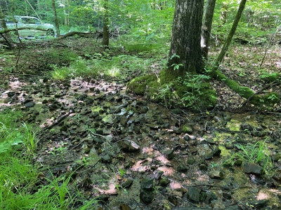 Land With Natural Water For Sale in Linden, Tennessee - image 6