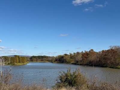 Land for Sale Sardis Lake, OK - Mountain View Farm Building Lots - image 14