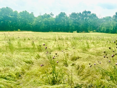 Land for Sale Sardis Lake, OK - Mountain View Farm Building Lots - image 1