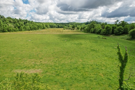 27.5 Acre Farm With 4 Bedrooms-1 Bath In Patrick County, Va - image 38