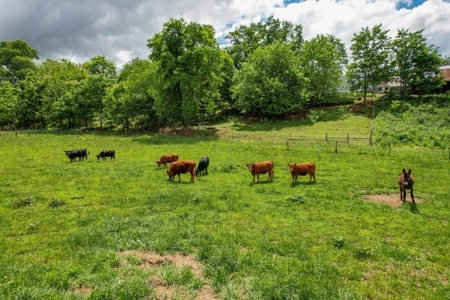 27.5 Acre Farm With 4 Bedrooms-1 Bath In Patrick County, Va - image 37