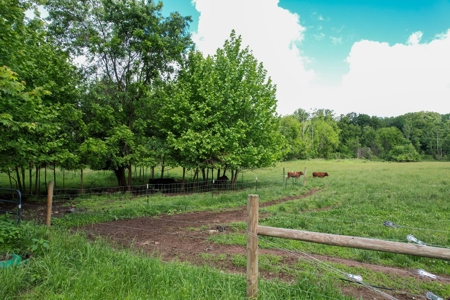 27.5 Acre Farm With 4 Bedrooms-1 Bath In Patrick County, Va - image 48