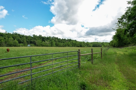 27.5 Acre Farm With 4 Bedrooms-1 Bath In Patrick County, Va - image 49