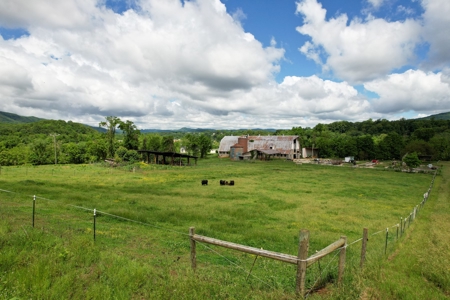 27.5 Acre Farm With 4 Bedrooms-1 Bath In Patrick County, Va - image 42