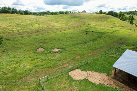 27.5 Acre Farm With 4 Bedrooms-1 Bath In Patrick County, Va - image 33