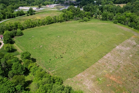27.5 Acre Farm With 4 Bedrooms-1 Bath In Patrick County, Va - image 25