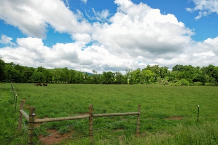 27.5 Acre Farm With 4 Bedrooms-1 Bath In Patrick County, Va - image 41