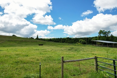 27.5 Acre Farm With 4 Bedrooms-1 Bath In Patrick County, Va - image 43