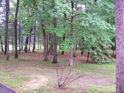 Outdoor lovers, country home on almost 5 acres - image 44
