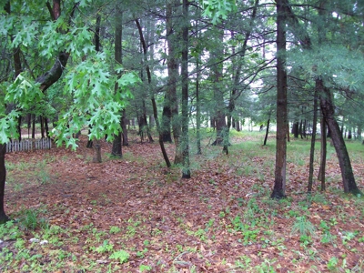 Outdoor lovers, country home on almost 5 acres - image 33