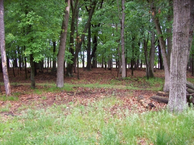 Outdoor lovers, country home on almost 5 acres - image 34