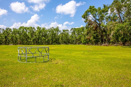 Land For Sale In Suwannee County !! - image 4