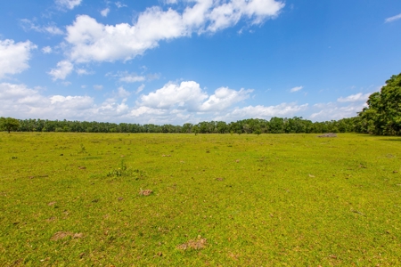 Land For Sale In Suwannee County !! - image 2