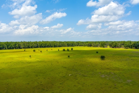 Land For Sale In Suwannee County !! - image 10