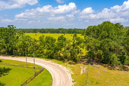 Land For Sale In Suwannee County !! - image 17