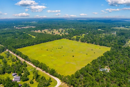 Land For Sale In Suwannee County !! - image 6