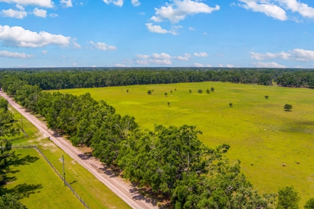 Land For Sale In Suwannee County !! - image 16