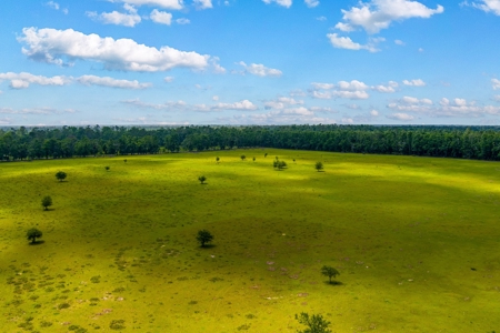 Land For Sale In Suwannee County !! - image 15