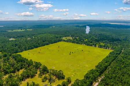 Land For Sale In Suwannee County !! - image 9