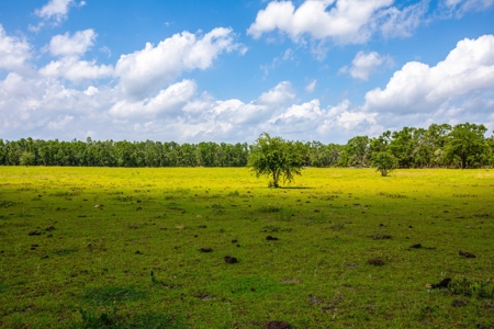 Land For Sale In Suwannee County !! - image 3