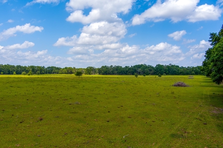 Land For Sale In Suwannee County !! - image 12