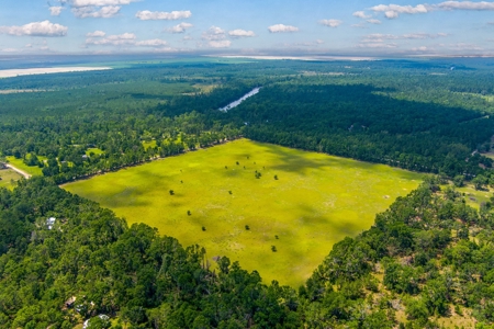Land For Sale In Suwannee County !! - image 8