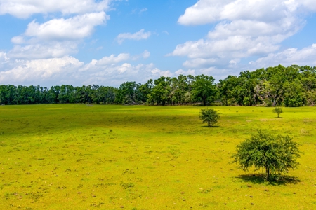 Land For Sale In Suwannee County !! - image 14