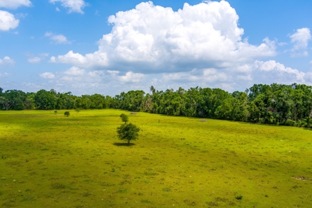 Land For Sale In Suwannee County !! - image 13