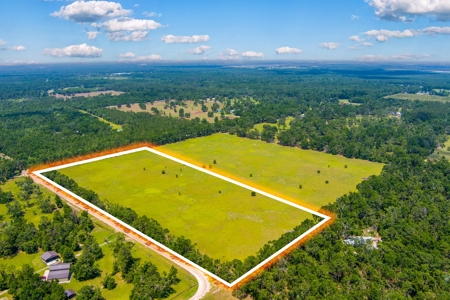 Land For Sale In Suwannee County !! - image 7