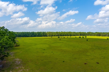 Land For Sale In Suwannee County !! - image 11
