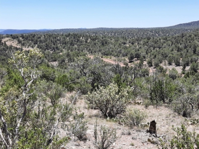 Gorgeous views from this 11+ off grid property - image 3