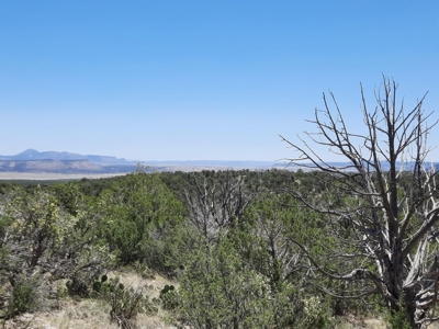 Gorgeous views from this 11+ off grid property - image 6