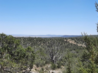 Gorgeous views from this 11+ off grid property - image 4