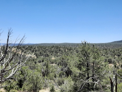 Gorgeous views from this 11+ off grid property - image 5