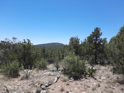 BIG VIEWS from this 7+ off grid property. - image 7