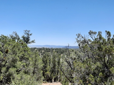 BIG VIEWS from this 7+ off grid property. - image 8