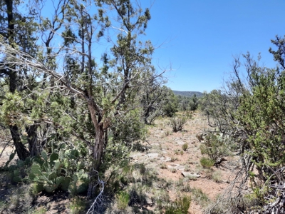 BIG VIEWS from this 7+ off grid property. - image 5