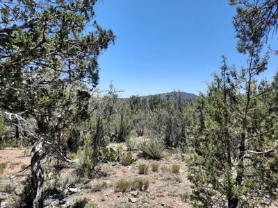 BIG VIEWS from this 7+ off grid property. - image 4