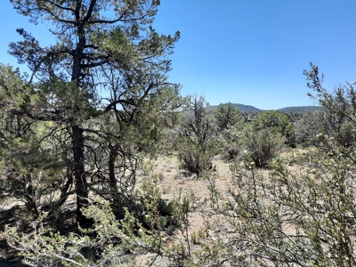 BIG VIEWS from this 7+ off grid property. - image 3