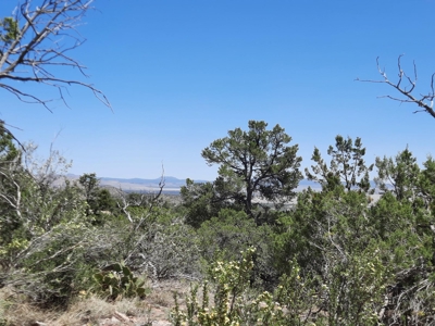 BIG VIEWS from this 7+ off grid property. - image 1