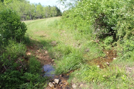 11.58-Acre Scenic Home Site in Albemarle County, VA - image 13