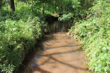 11.58-Acre Scenic Home Site in Albemarle County, VA - image 14