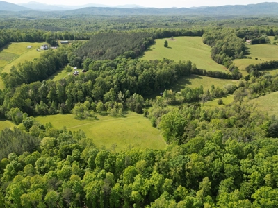 11.58-Acre Scenic Home Site in Albemarle County, VA - image 4