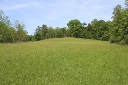 11.58-Acre Scenic Home Site in Albemarle County, VA - image 12