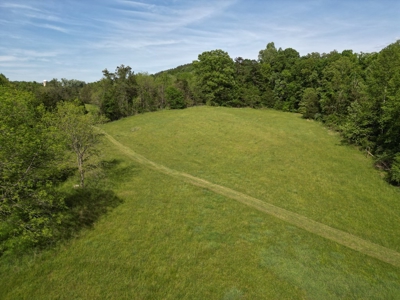 11.58-Acre Scenic Home Site in Albemarle County, VA - image 5